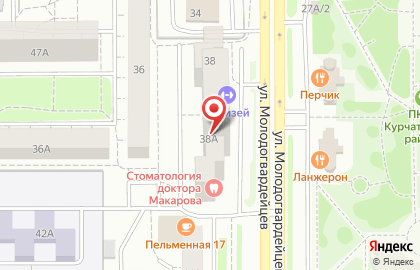 Зоомагазин Акватропик74 на улице Молодогвардейцев на карте