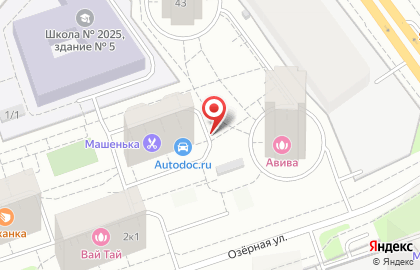 Сеть магазинов автотоваров и запчастей Autodoc.ru на Мичуринском проспекте на карте