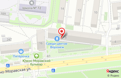 Магазин Среди цветов в Воронеже на карте