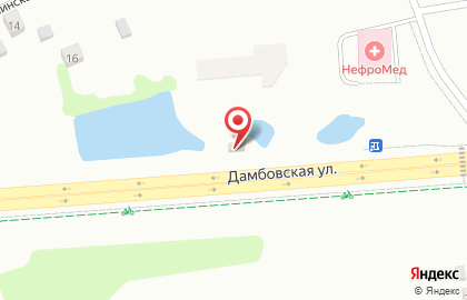 Шиномонтажная мастерская на Дамбовской улице на карте