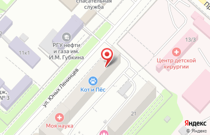 Ветеринарная клиника Кот и Пёс на улице Юных Ленинцев на карте