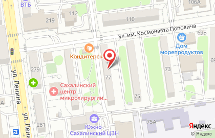Охранное предприятие Дружина в Южно-Сахалинске на карте
