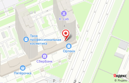 Магазин зоотоваров Четыре лапы на улице Фёдора Абрамова на карте