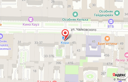 Лань на улице Чайковского на карте