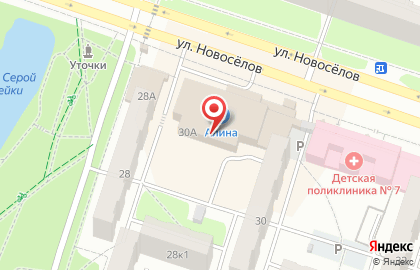 Супермаркет цифровой и бытовой техники DNS на улице Новосёлов на карте