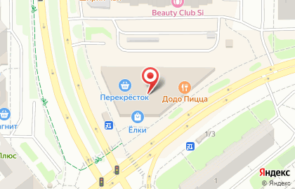 Сервисный центр Pedant.ru в ТЦ Ёлки на карте