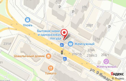 Магазин цветов Сальвия в Коминтерновском районе на карте