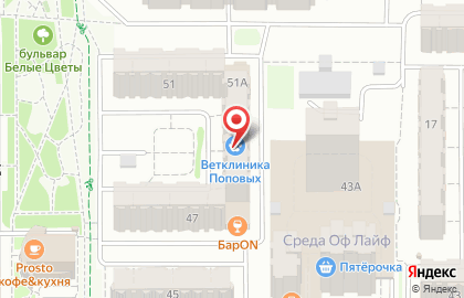 Ветеринарная клиника Поповых на карте