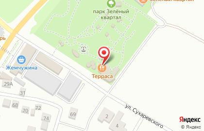 Ресторан Терраса на улице Гагарина на карте