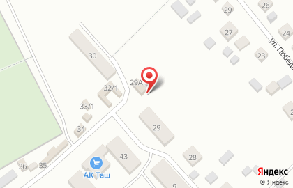Светлана на Лесной на карте