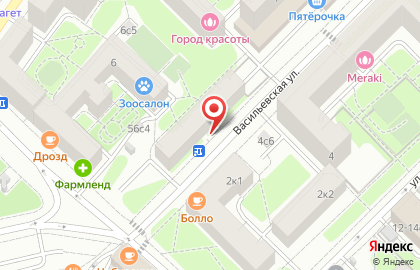 Магазин хозяйственных товаров, ИП Безухов А.Б. на Васильевской улице на карте