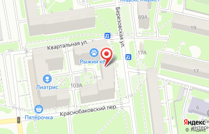 Салон-парикмахерская Алина на Берёзовской улице на карте