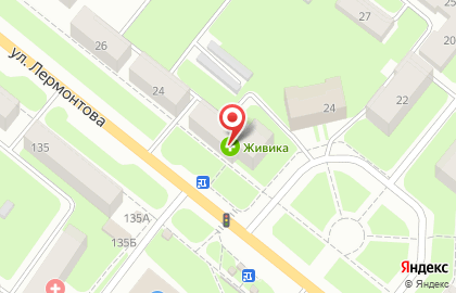 Магазин автозапчастей Автомаг на улице Лермонтова на карте