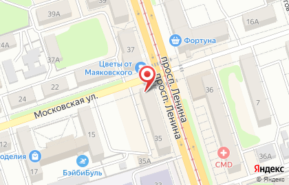 Туристическое агентство Краски мира на проспекте Ленина на карте