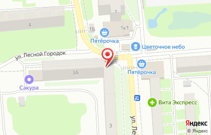 Магазин мясной продукции Лысковский Мясокомбинат на улице Лесного городка на карте