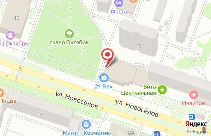 Пиццерия Пицца Лисица на улице Новосёлов на карте