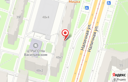 Компания Петербургские Натяжные потолки на Наличной улице на карте
