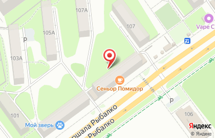 Магазин цветов в Перми на карте