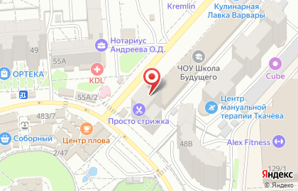 Сеть магазинов товаров для дома и дачи Порядок на улице Владимира Невского на карте