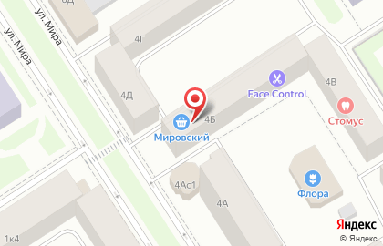 Продуктовый магазин Мировский в Центральном районе на карте