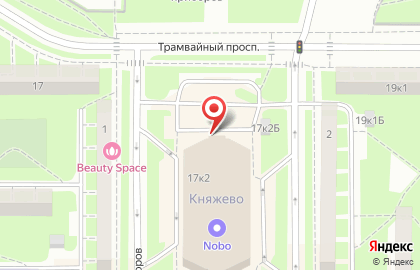 Интернет-гипермаркет OZON.ru на Трамвайном проспекте на карте