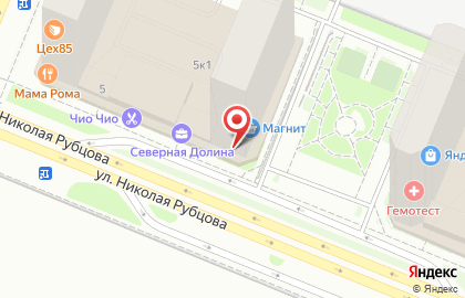 Магазин зоотоваров BurmaZooShop на улице Николая Рубцова на карте