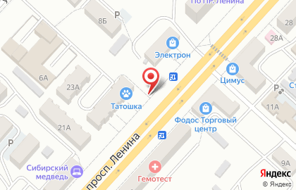 Цветочный салон Розалия на проспекте Ленина на карте