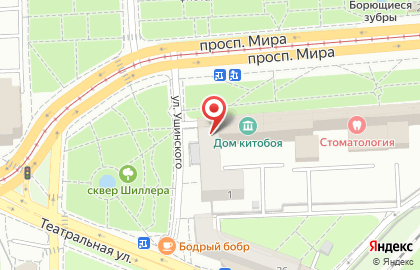 Калининградская областная научная библиотека в Центральном районе на карте