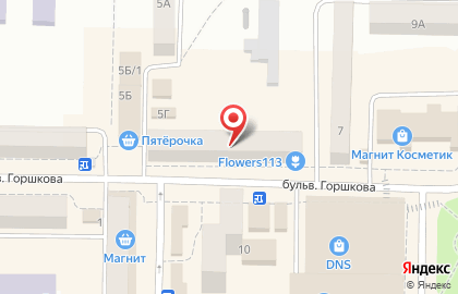Магазин разливного пива Ссср на проспекте Горшкова в Рузаевке на карте