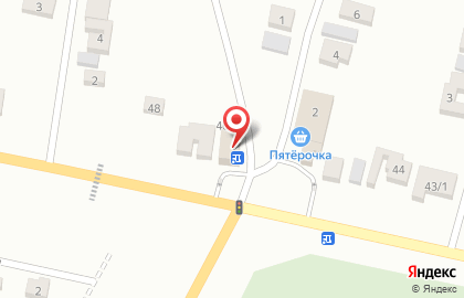 Аптека Шифа на Школьной улице на карте