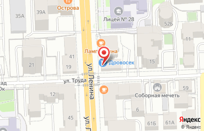 Торгово-сервисный центр Дровосек на улице Ленина на карте