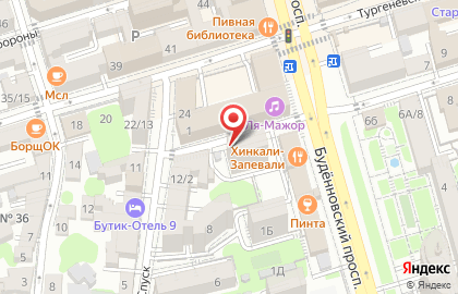 Универсам Кристина на Будённовском проспекте на карте