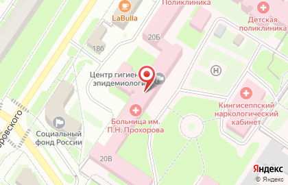 Территориальный Отдел Управления Роспотребнадзора по Ленинградской Области в Волосовском, Кингисеппском и Сланцевском Районах на карте