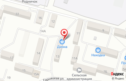 Магазин Диона на карте