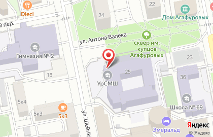 Уральский хореографический колледж на улице Антона Валека на карте