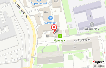 Зоомагазин Питомец на Базарной улице на карте