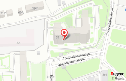 Алкомаркет Винлаб на Триумфальной улице на карте