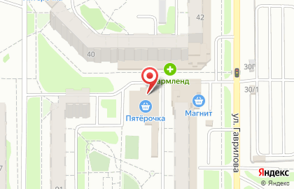 Зоомагазин Кошки в Ново-Савиновском районе на карте