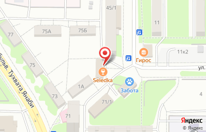 Магазин разливного пива Главпивторг на бульваре Тухвата Янаби на карте