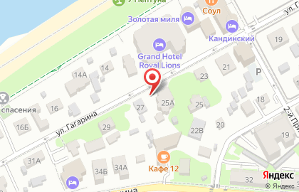 Зеленоградская ветеринарная станция на улице Гагарина на карте