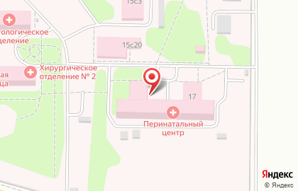 Видновский перинатальный центр на карте