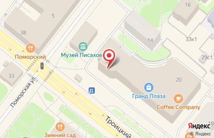 Меховой салон Рио на Троицком проспекте, 20 на карте