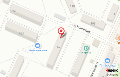 Пермская краевая организация Всероссийское общество слепых на улице Копылова на карте