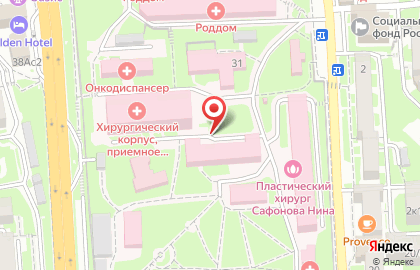 Реабилитационный центр "Наркологическая клиника №1" на улице Пирогова на карте