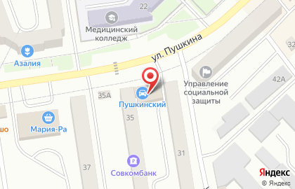 Автомагазин Пушкинский на карте