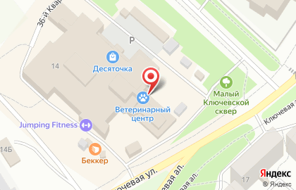 Ветеринарный центр в Петрозаводске на карте