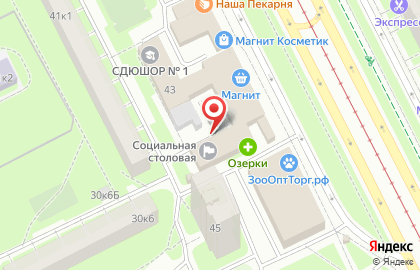 Комплексный центр социального обслуживания населения Фрунзенского района Санкт-Петербурга в Фрунзенском районе на карте