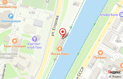 Магазин Bigmo на карте