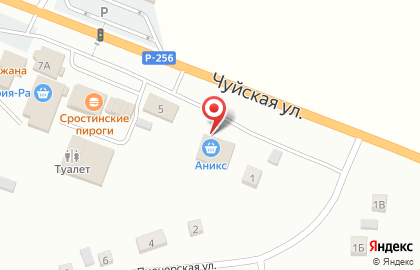 Продуктовый супермаркет Аникс на Чуйской улице на карте