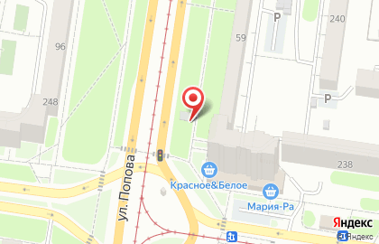 Рекламный щит, РА Маркетинг & Реклама на улице Попова на карте
